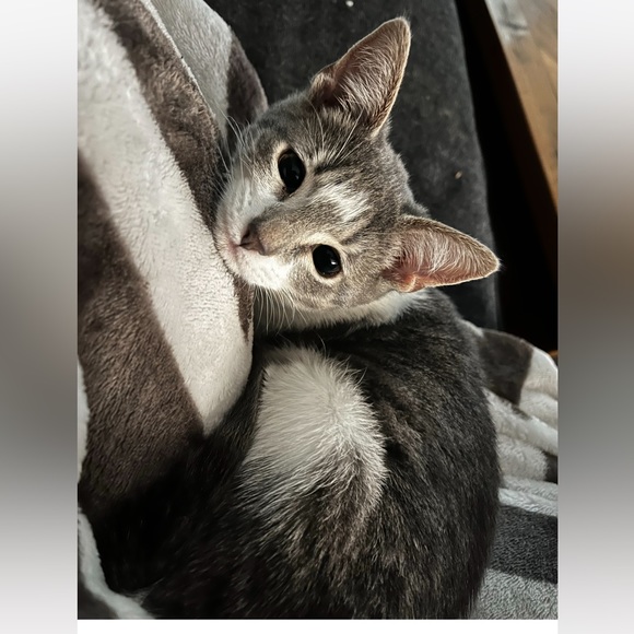 Bundle up!! - Picture 2 of 3